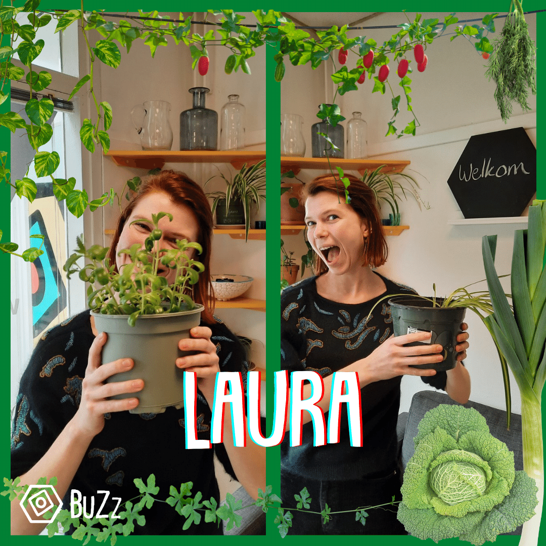 Laura plant