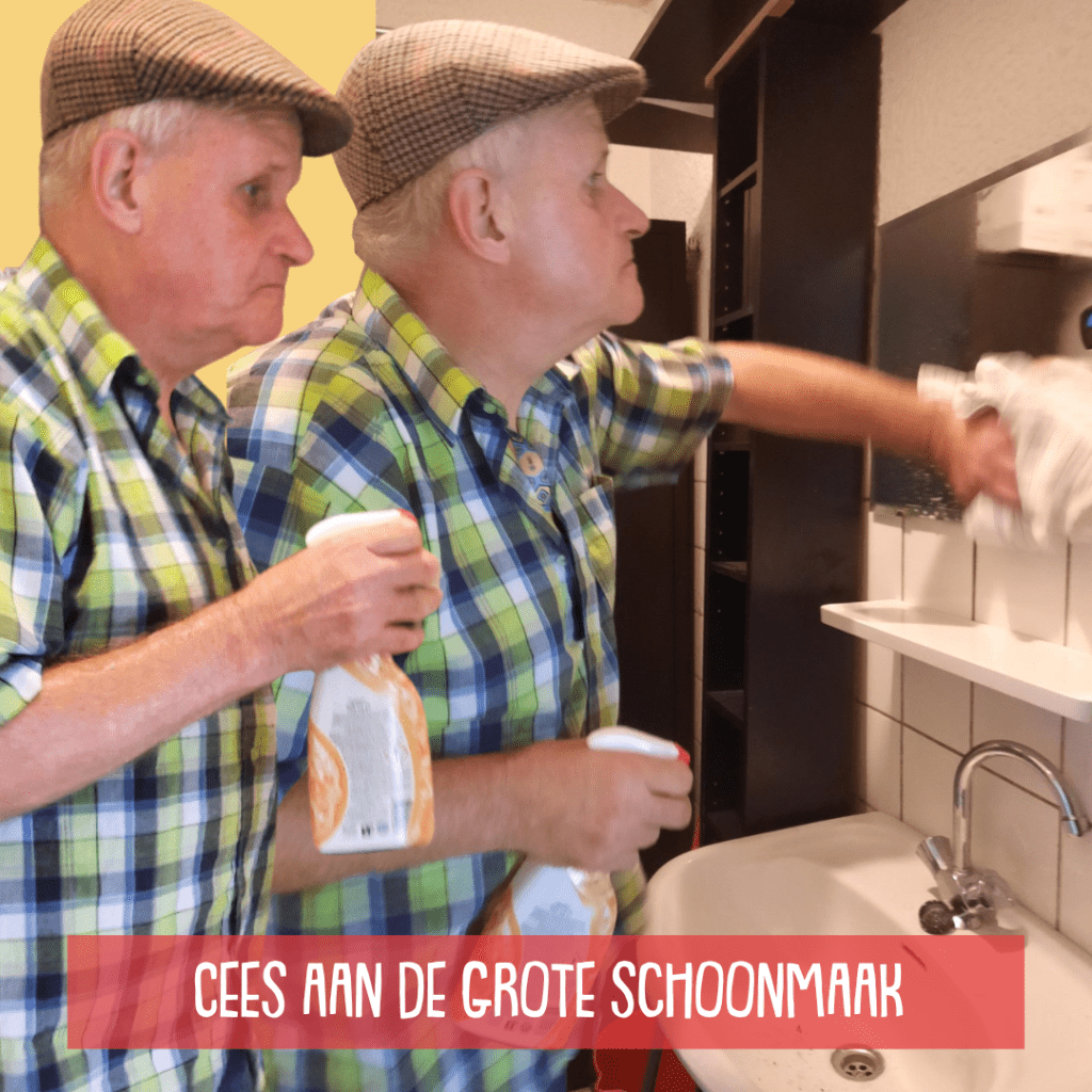 schoonmaak
