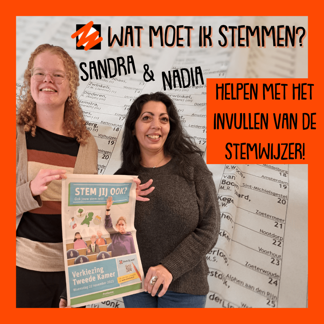 wat moet ik stemmen?